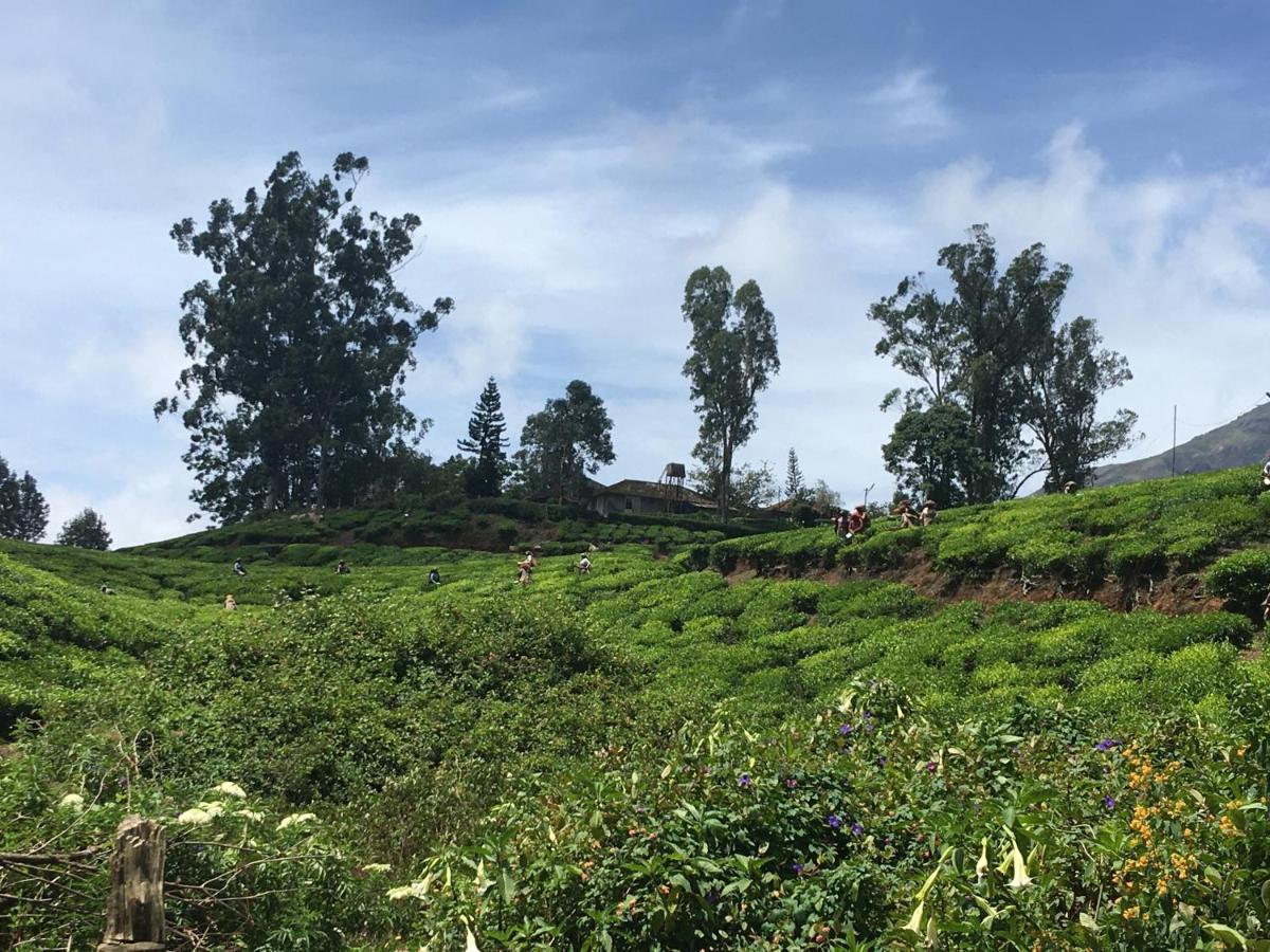 Hotel Golden Green Munnar Exteriér fotografie